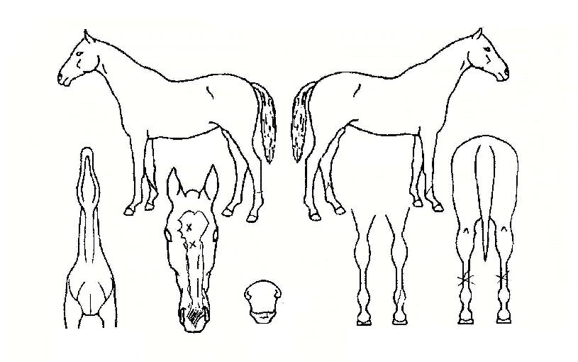 �����̽��� ����,���,�޸�,�λ�,�ٸ��� Ư¡����