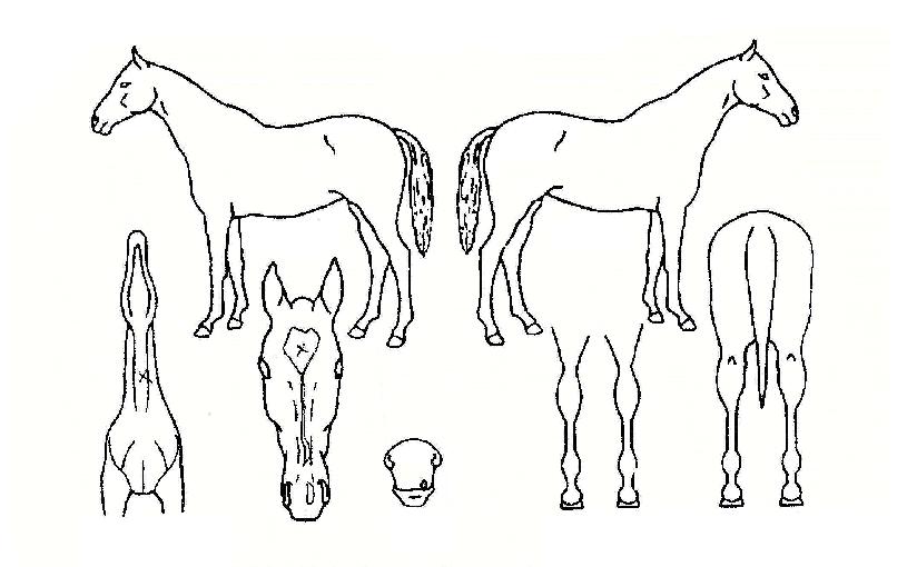 ����ó���� ����,���,�޸�,�λ�,�ٸ��� Ư¡����