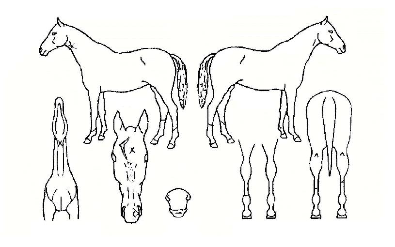 �������Դ��� ����,���,�޸�,�λ�,�ٸ��� Ư¡����