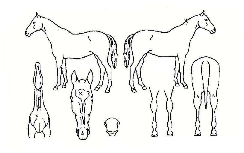 �ν��ÿ������� ����,���,�޸�,�λ�,�ٸ��� Ư¡����