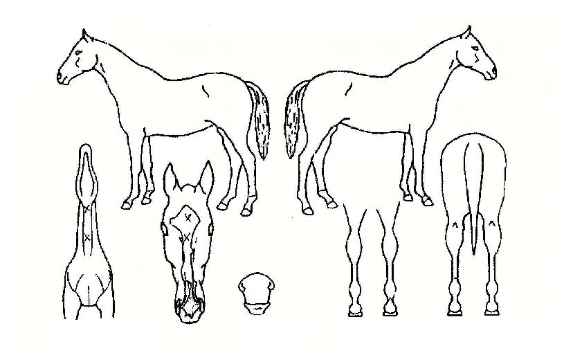 ��õ������ ����,���,�޸�,�λ�,�ٸ��� Ư¡����