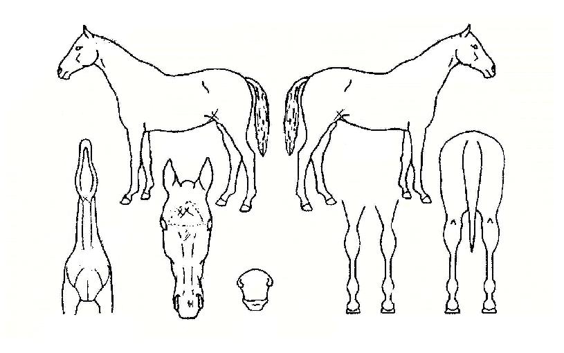 ����Ʈ��ó���� ����,���,�޸�,�λ�,�ٸ��� Ư¡����