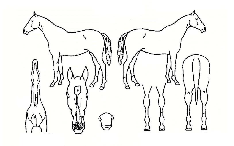 ȯ������ ����,���,�޸�,�λ�,�ٸ��� Ư¡����