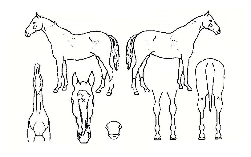 ��������� ����,���,�޸�,�λ�,�ٸ��� Ư¡����