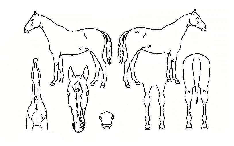 Ÿ�Ӷ���Ʈ�� ����,���,�޸�,�λ�,�ٸ��� Ư¡����