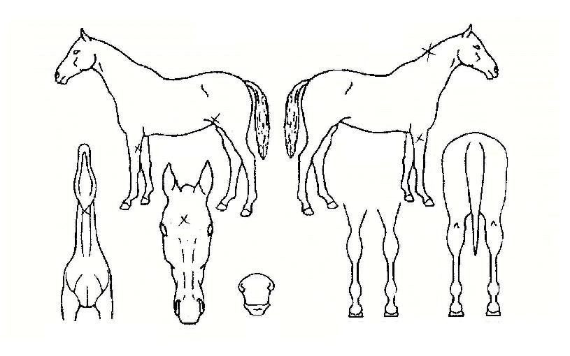 �������� ����,���,�޸�,�λ�,�ٸ��� Ư¡����