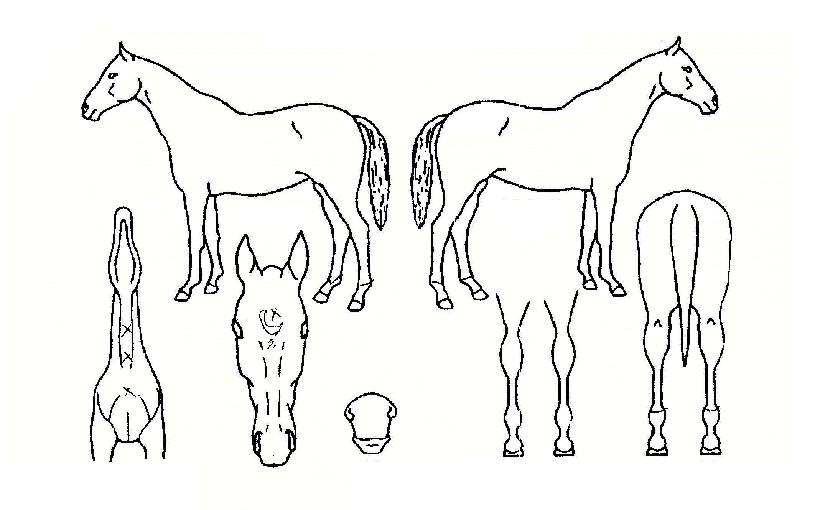 ���ͺ����� ����,���,�޸�,�λ�,�ٸ��� Ư¡����