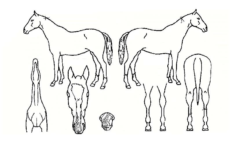 ������丮�� ����,���,�޸�,�λ�,�ٸ��� Ư¡����