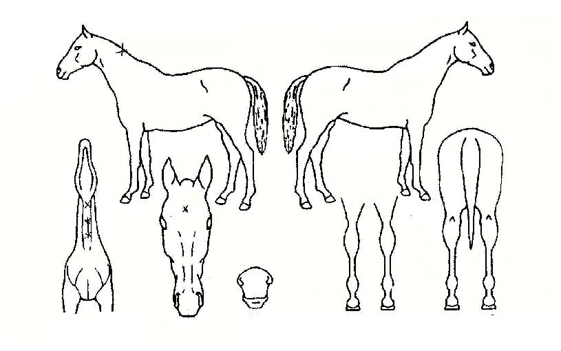 �����̽�Ÿ�� ����,���,�޸�,�λ�,�ٸ��� Ư¡����