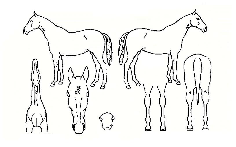 ���´������� ����,���,�޸�,�λ�,�ٸ��� Ư¡����