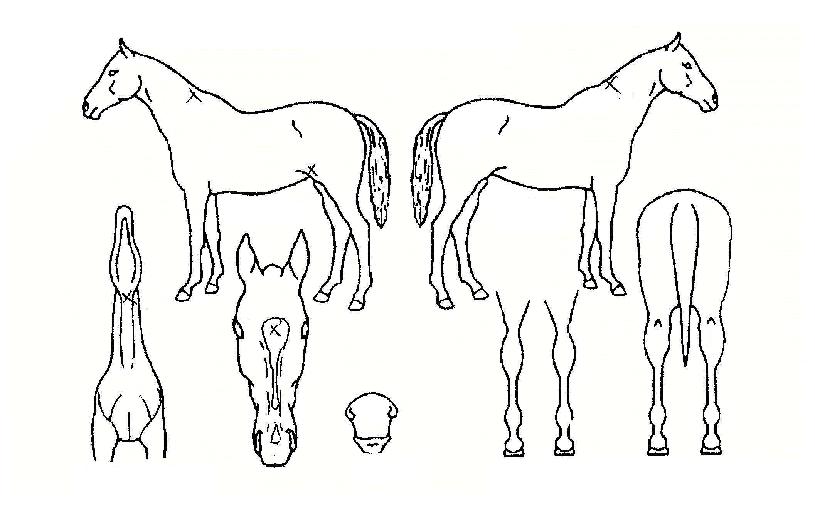 ���������� ����,���,�޸�,�λ�,�ٸ��� Ư¡����