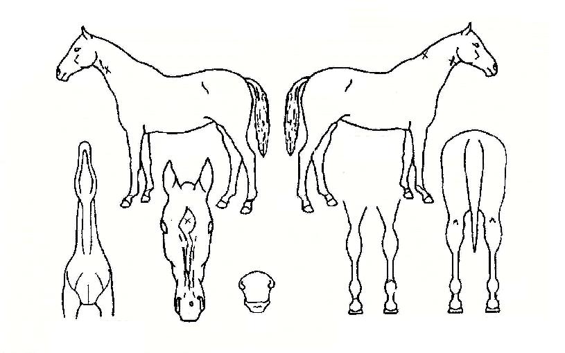 ¸ÞÀÌÂüÀÇ Ãø¸é,¿ì¸é,µÞ¸é,µÎ»ó,´Ù¸®ÀÇ Æ¯Â¡µµÇØ