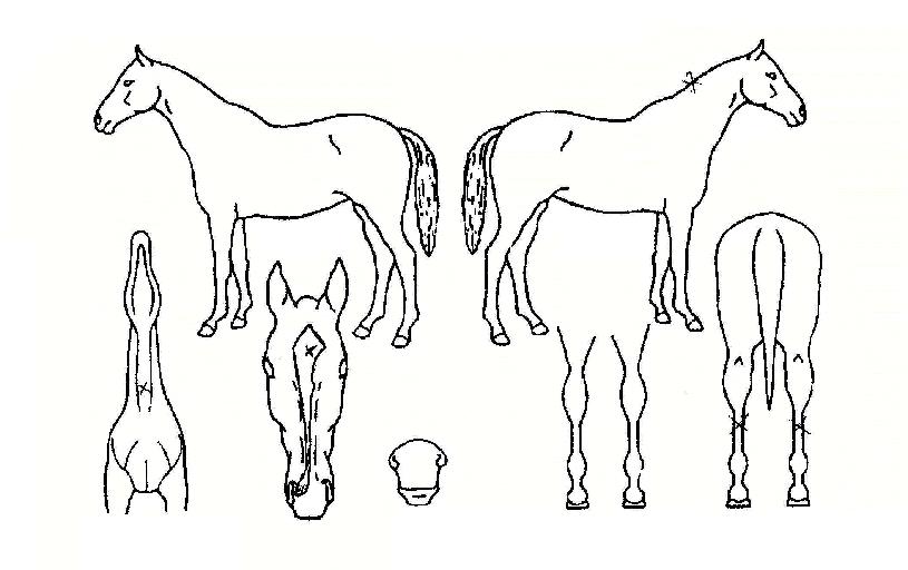 �����һ��� ����,���,�޸�,�λ�,�ٸ��� Ư¡����