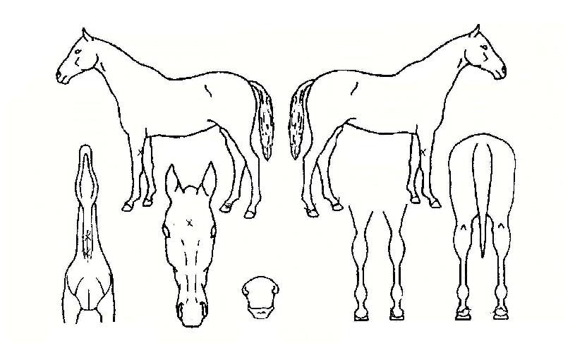 ��ĭ�� ����,���,�޸�,�λ�,�ٸ��� Ư¡����