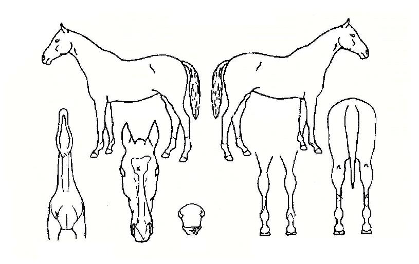 ���̺��� ����,���,�޸�,�λ�,�ٸ��� Ư¡����