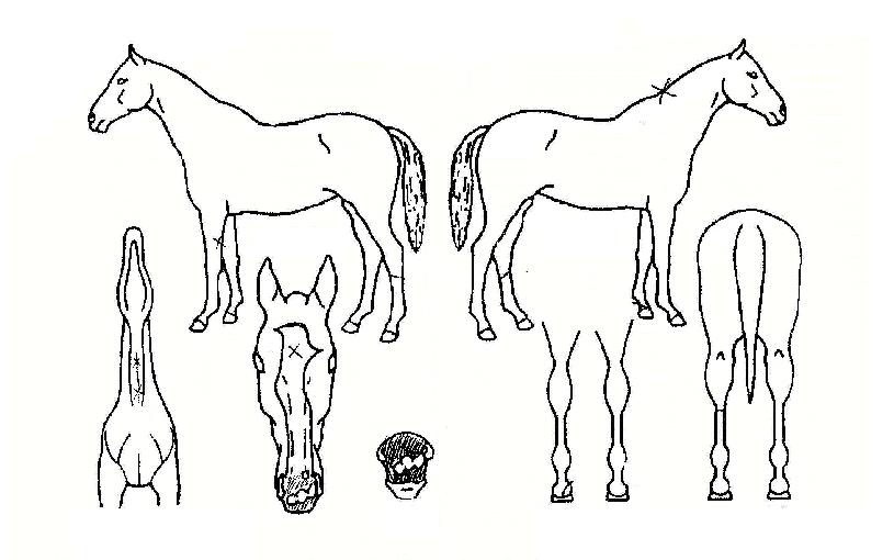 �����̺������ ����,���,�޸�,�λ�,�ٸ��� Ư¡����