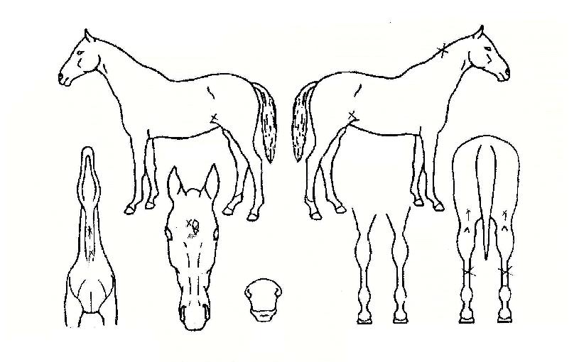 ���帮���� ����,���,�޸�,�λ�,�ٸ��� Ư¡����