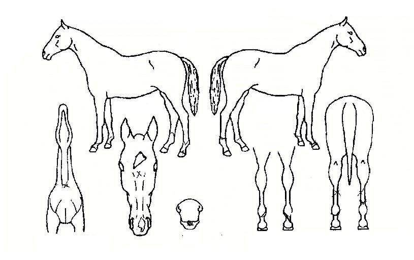 �극���Ϸ��̵��ڸ��� ����,���,�޸�,�λ�,�ٸ��� Ư¡����