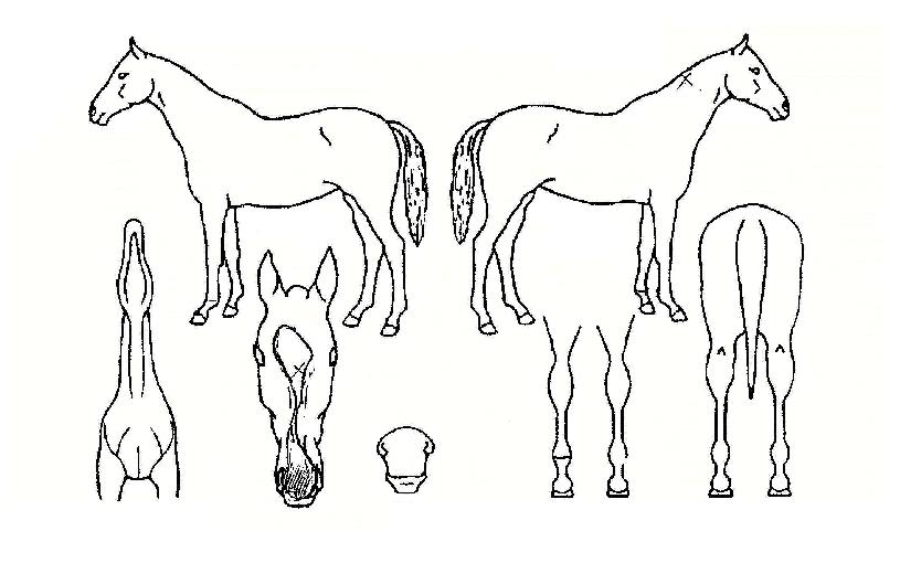 ȯ�󿬱��� ����,���,�޸�,�λ�,�ٸ��� Ư¡����