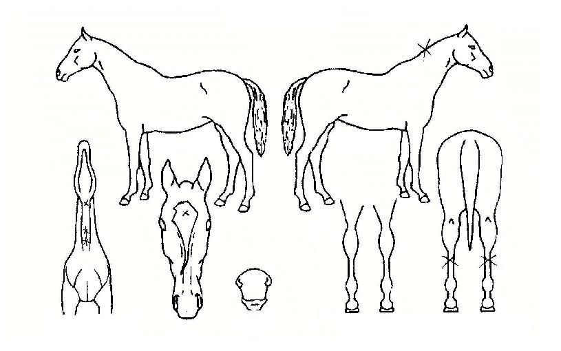 õ���ʽ��� ����,���,�޸�,�λ�,�ٸ��� Ư¡����