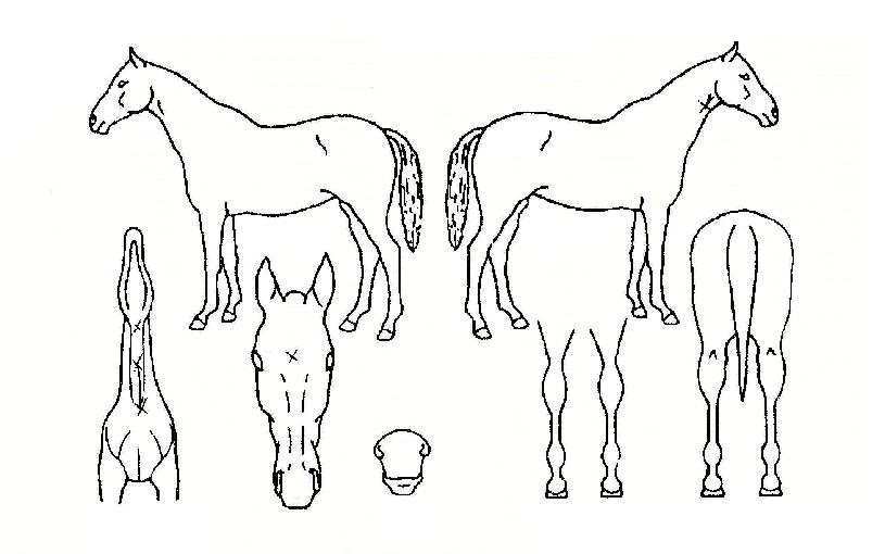 Ž�������� ����,���,�޸�,�λ�,�ٸ��� Ư¡����