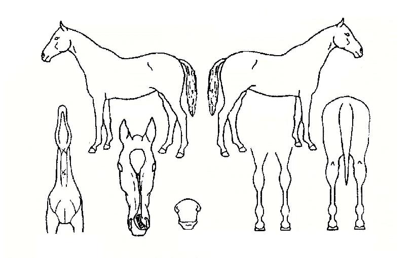 ��ƼǮ����� ����,���,�޸�,�λ�,�ٸ��� Ư¡����