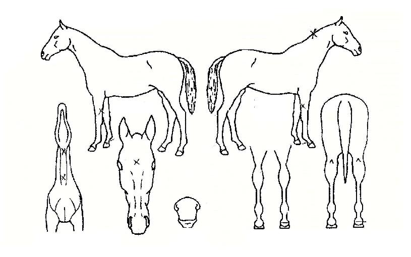 ���͹����ڸ��� ����,���,�޸�,�λ�,�ٸ��� Ư¡����