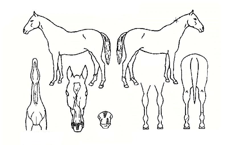 ȯ���������� ����,���,�޸�,�λ�,�ٸ��� Ư¡����