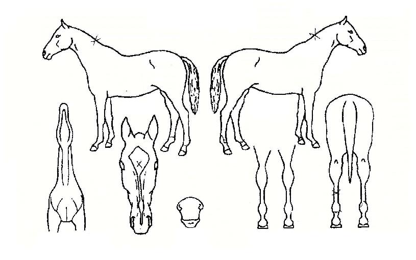 ������ġ�� ����,���,�޸�,�λ�,�ٸ��� Ư¡����