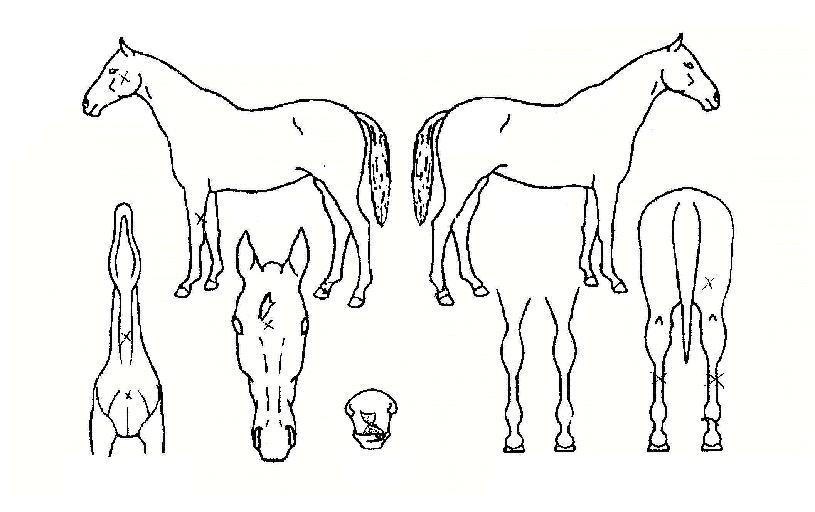 Ÿ������ ����,���,�޸�,�λ�,�ٸ��� Ư¡����