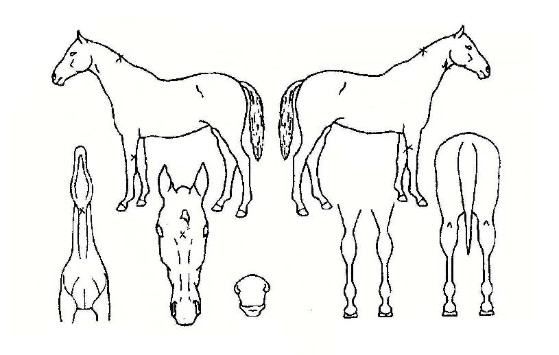 ������̽��ڸ��� ����,���,�޸�,�λ�,�ٸ��� Ư¡����