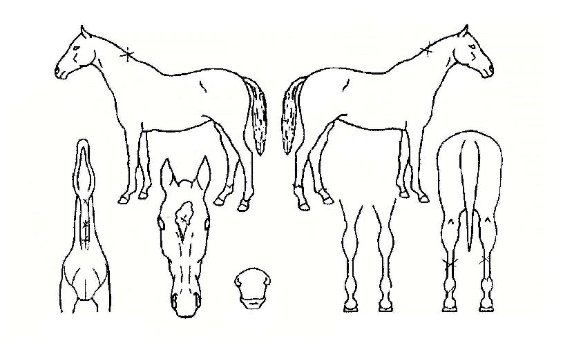 ±¤¾ßÁ¦ÀÏÀÇ Ãø¸é,¿ì¸é,µÞ¸é,µÎ»ó,´Ù¸®ÀÇ Æ¯Â¡µµÇØ