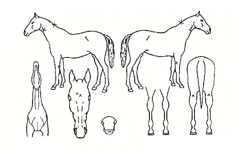 ��׽�Ʈ���� ����,���,�޸�,�λ�,�ٸ��� Ư¡����