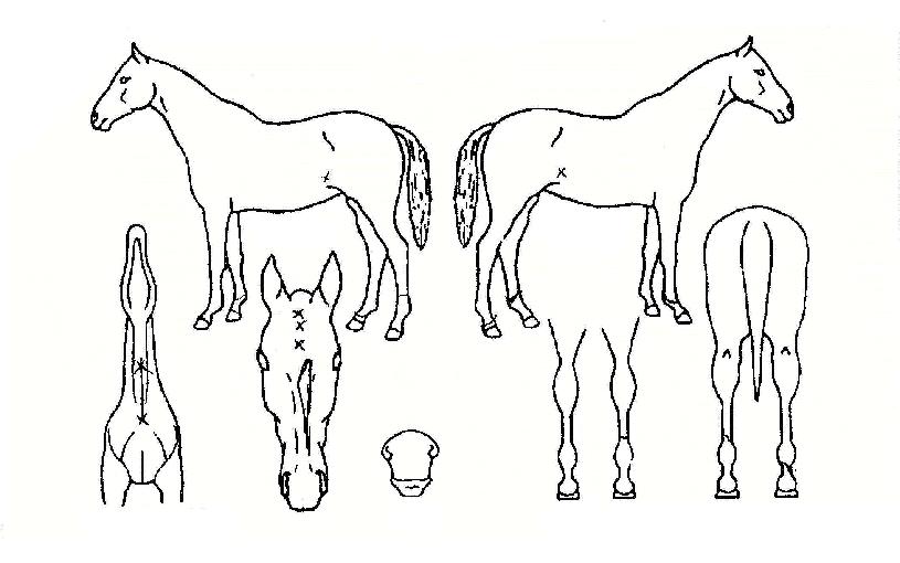 ���������� ����,���,�޸�,�λ�,�ٸ��� Ư¡����