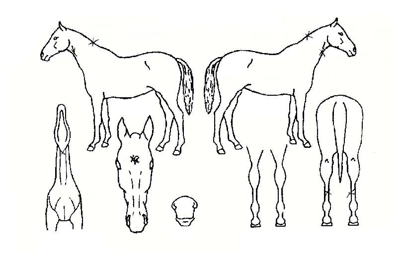 �谨������ ����,���,�޸�,�λ�,�ٸ��� Ư¡����