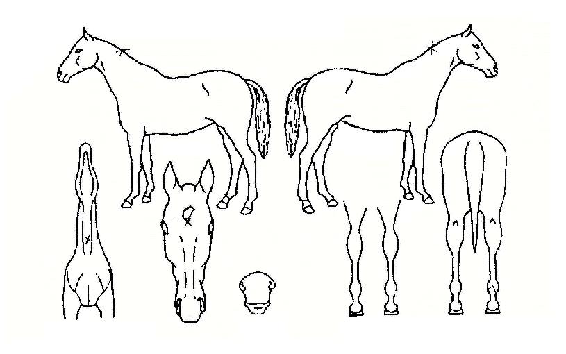 �ֿ�û�� ����,���,�޸�,�λ�,�ٸ��� Ư¡����