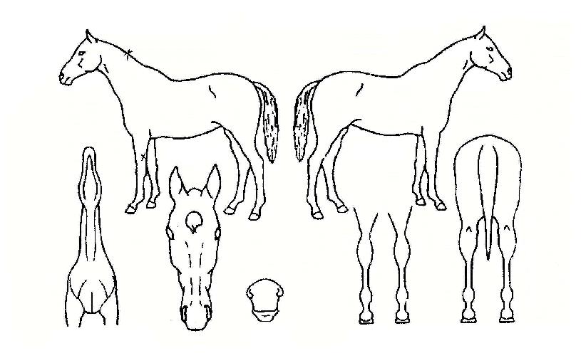 ��ġ�ͺ��� ����,���,�޸�,�λ�,�ٸ��� Ư¡����