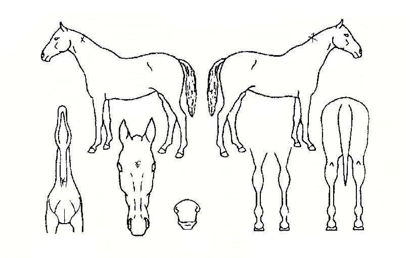 ����Ÿ�� ����,���,�޸�,�λ�,�ٸ��� Ư¡����