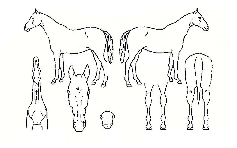 �̽����� ����,���,�޸�,�λ�,�ٸ��� Ư¡����