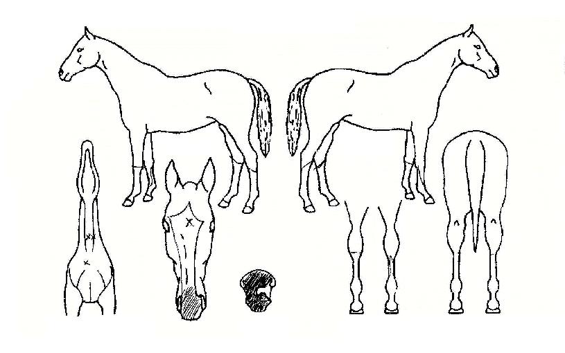 â������ġ�� ����,���,�޸�,�λ�,�ٸ��� Ư¡����