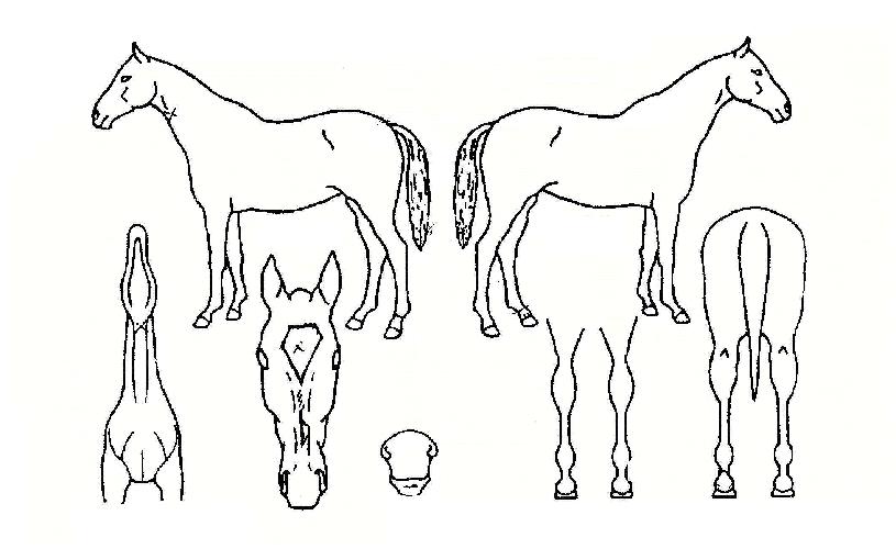 ���̴��������� ����,���,�޸�,�λ�,�ٸ��� Ư¡����