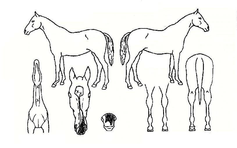 �ܼ������� ����,���,�޸�,�λ�,�ٸ��� Ư¡����