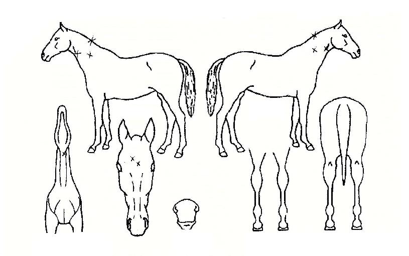 ������Ʈ������ ����,���,�޸�,�λ�,�ٸ��� Ư¡����