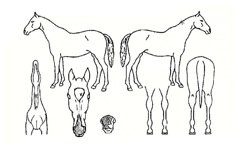 �����ͺ��� ����,���,�޸�,�λ�,�ٸ��� Ư¡����