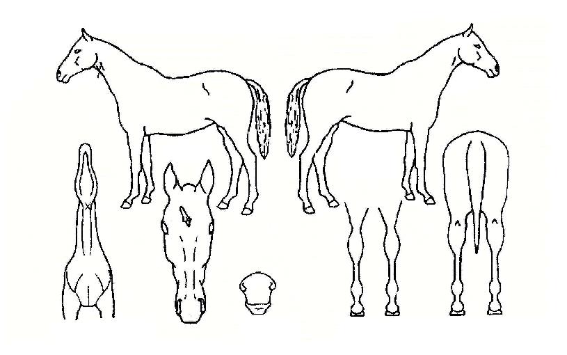 �������̽��ۺ�����Ƽ�ڸ��� ����,���,�޸�,�λ�,�ٸ��� Ư¡����