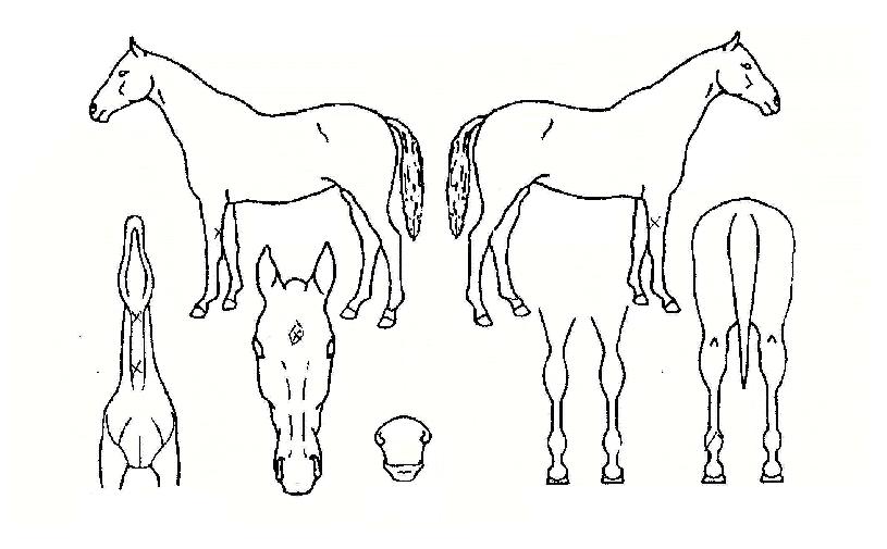 ���̽������� ����,���,�޸�,�λ�,�ٸ��� Ư¡����