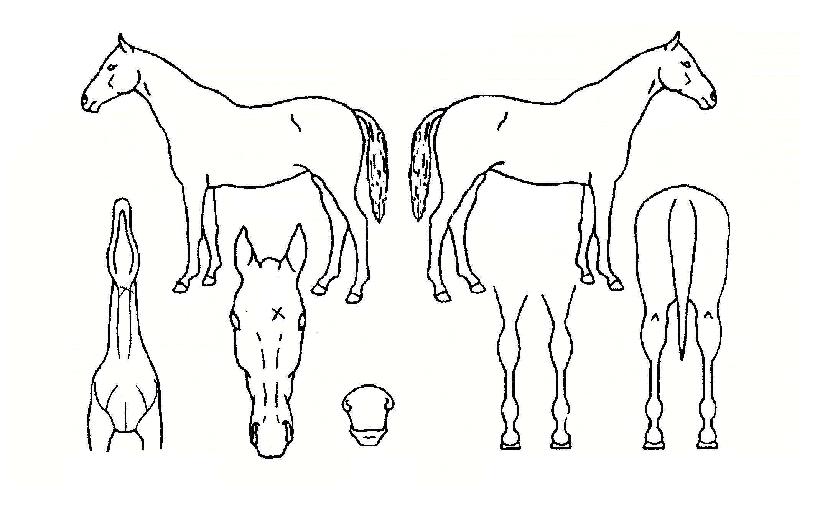 ���ϼ��� ����,���,�޸�,�λ�,�ٸ��� Ư¡����