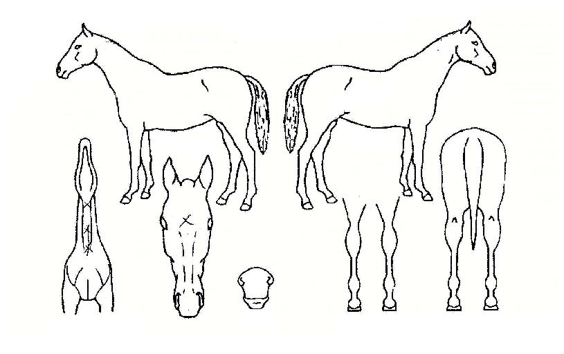 ��Ʈ���� ����,���,�޸�,�λ�,�ٸ��� Ư¡����