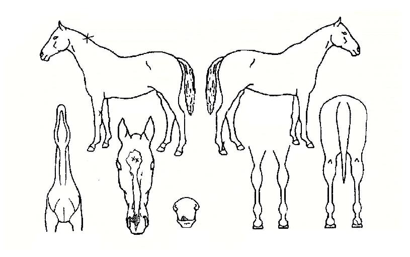 ���ڷ�����Ÿ�� ����,���,�޸�,�λ�,�ٸ��� Ư¡����