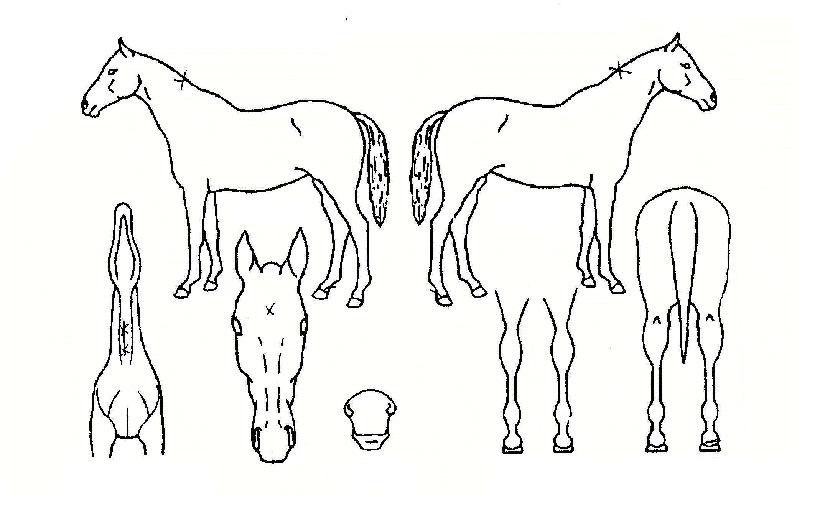 Ÿ���� ����,���,�޸�,�λ�,�ٸ��� Ư¡����